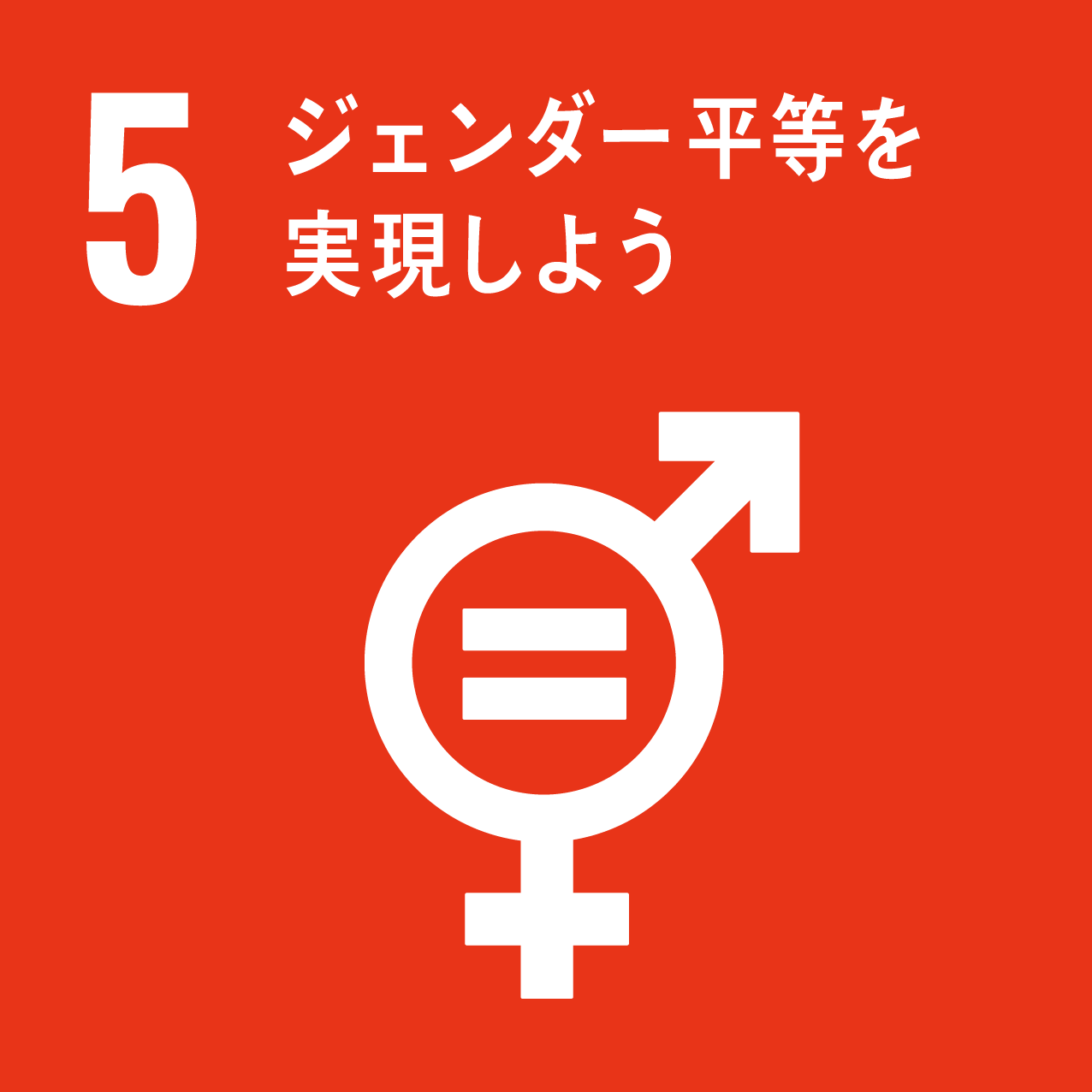 SDG Icon