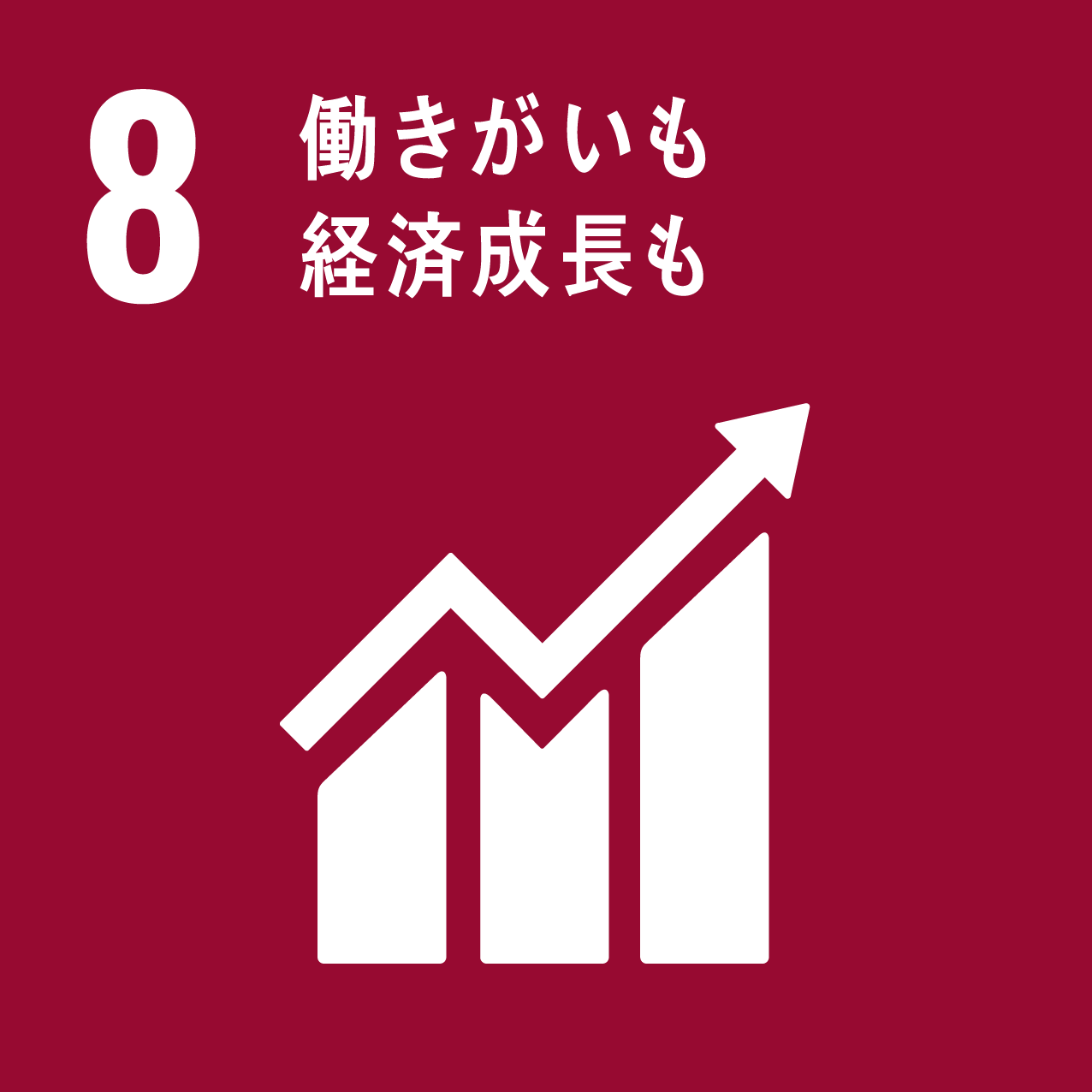 SDG Icon