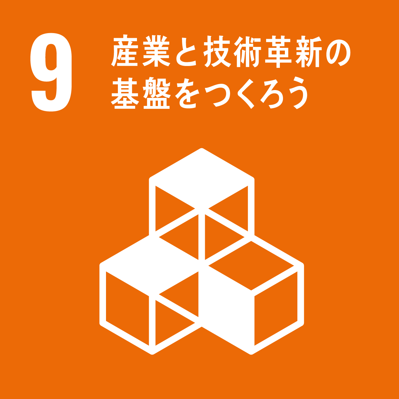 SDG Icon