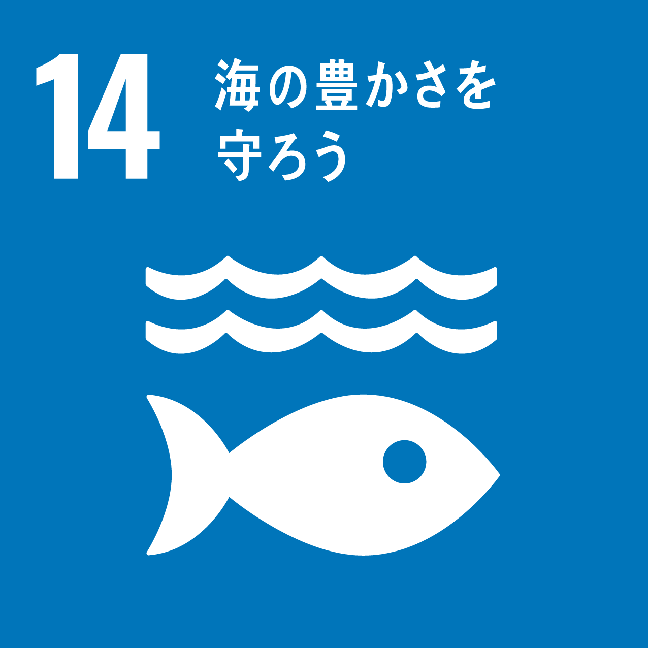 SDG Icon
