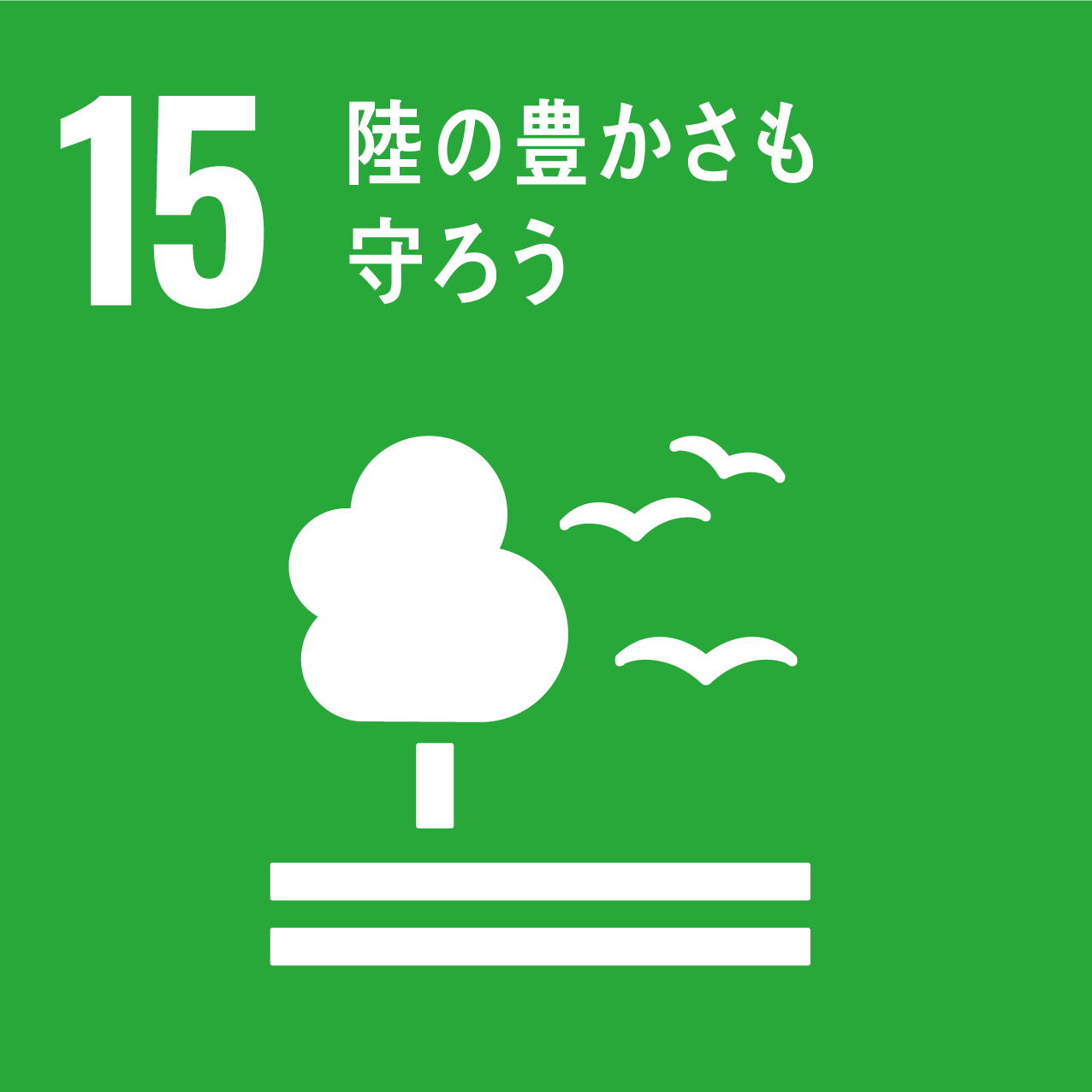 SDG Icon