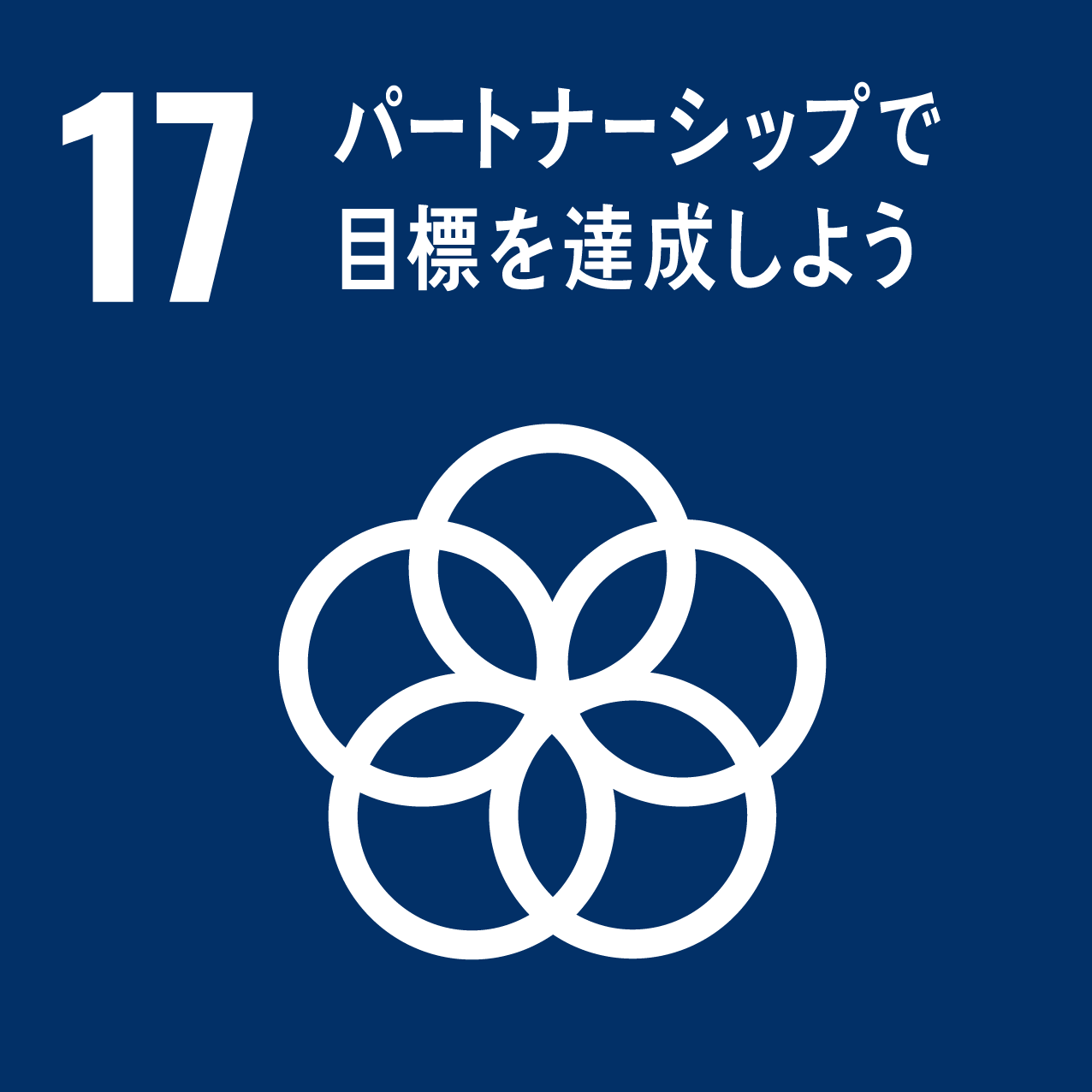 SDG Icon